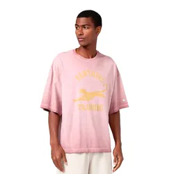 Remera Champion Time Capsule