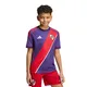 camiseta-adidas-alternativa-river-plate-26-VIOLETA/ROJO