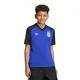 camiseta-adidas-originals-prepartido-seleccion-argentina-26-AZUL FRANCIA/NEGRO