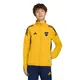 campera-adidas-presentacion-de-boca-juniors-tiro-25-competition-AMARILLO