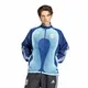 campera-adidas-deportiva-alternativa-seleccion-argentina-2006-afa-MARINO/CELESTE