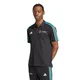 remera-adidas-chomba-adn-mercedes-amg-petronas-formula-uno-team-NEGRO/TURQUESA